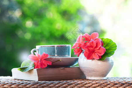 一杯茶花和书在自然绿色背景下的美丽夏日组合图片