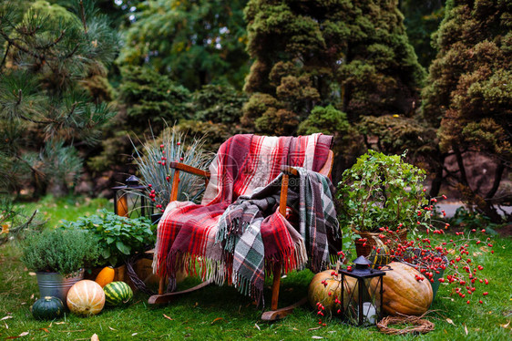 秋天装饰南瓜朗兰和手椅的装饰品图片
