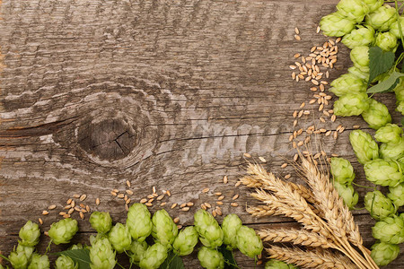 旧木背景上带有麦穗的啤酒花锥框架啤酒生产的成分带有文本复制图片