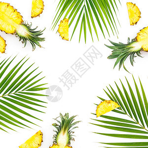 切片菠萝水果和棕榈叶的边框图片