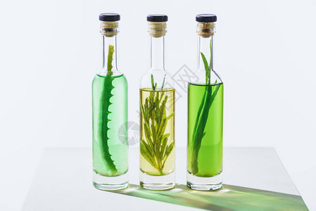 透明瓶装基本绿色和黄色油白色表面有植物图片