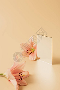 米色桌面上的百合花和镜子图片