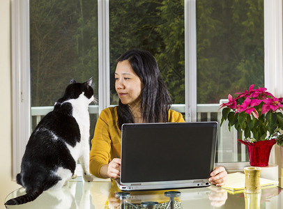 亚洲成熟女在家工作时看着家庭猫脸图片
