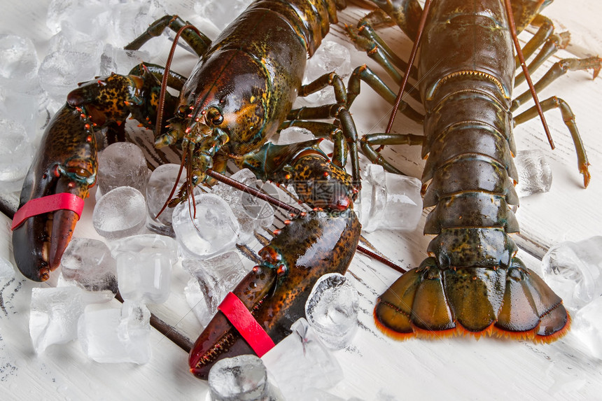 生龙虾旁边的冰块木制表面上的龙虾菜单上的特色菜富含图片