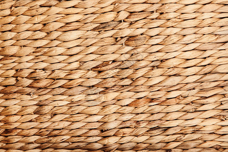 植物照片背景图片