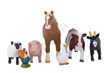 玩具农场动物上白色孤立图片