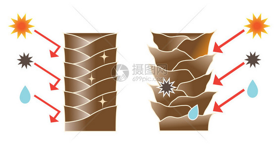 健康的头发角质层可防止阳光伤害紫外线细菌灰尘汗水和湿气于UVA和UVB射线汗水和湿气会损坏头发的角质层图片