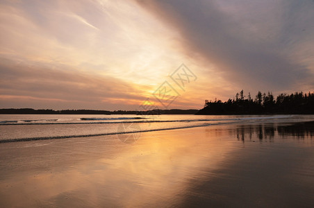 一个孤独的海滩拥有自己和摄影师的日落加拿大托菲诺海滩图片