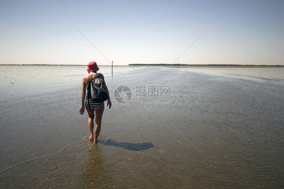 瓦登海远足丹麦瓦登海公园的低水位7月16日至915日期间图片