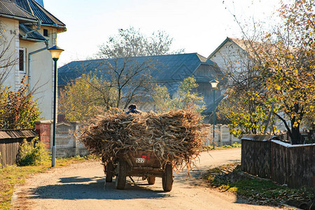 当地农民开着他的马车沿着乡村公路行驶图片