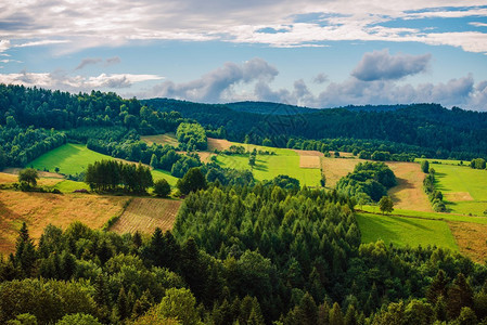 波兰Bieszczady景观夏季的波兰东南部山脉图片