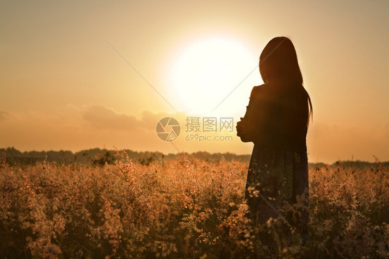 等待夏日阳光在草原图片