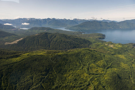 加拿大不列颠哥伦比亚GrahamIsland的HaidaGwaii图片