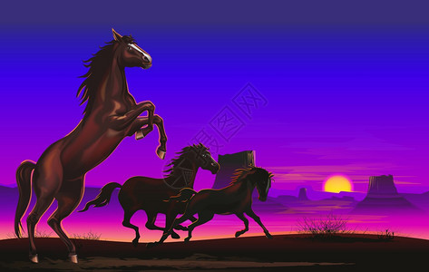 三匹野马在美国亚利桑那州图片