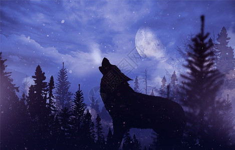 狂野中叫狼山地风景与落雪月亮和咆哮背景图片