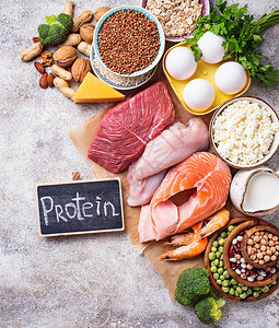 健康食品在蛋白质肉类鱼类奶制品坚果和豆图片