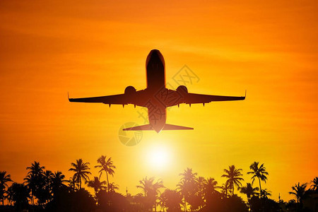 乘飞机往天堂概念图象的航空机和棕榈树Silhouett图片