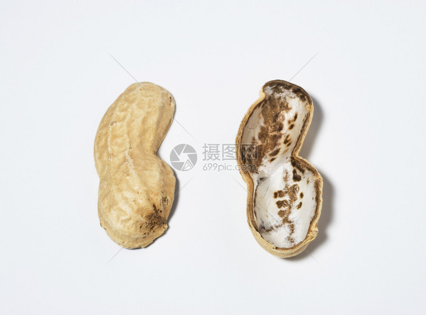 花生壳免费域名注册与配置全攻略：从零开始搭建个人专属域名服务-亿动网络笔记