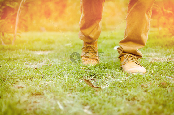 美丽的双脚走向阳光或在草地上或公园或田间跑步或早晨散步或锻炼时向日出或日落前进图片