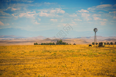 南加州农田图片