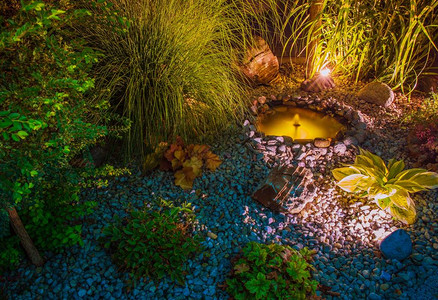 带小花园池塘的照明花园后院照明图片