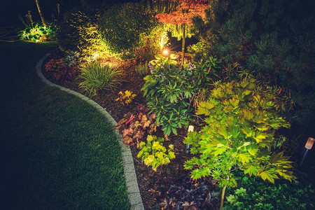 深色后院花园夜间照片背景图片