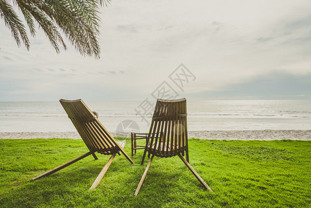 绿色草地上的木椅子海滩和棕榈树背景图片