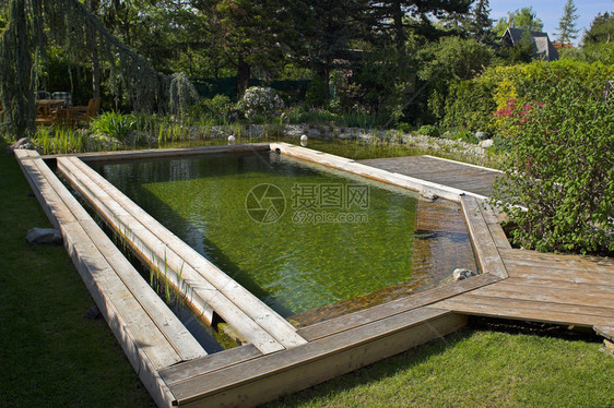 游泳池和花园池塘的图片图片
