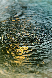 带雨滴的水池图片