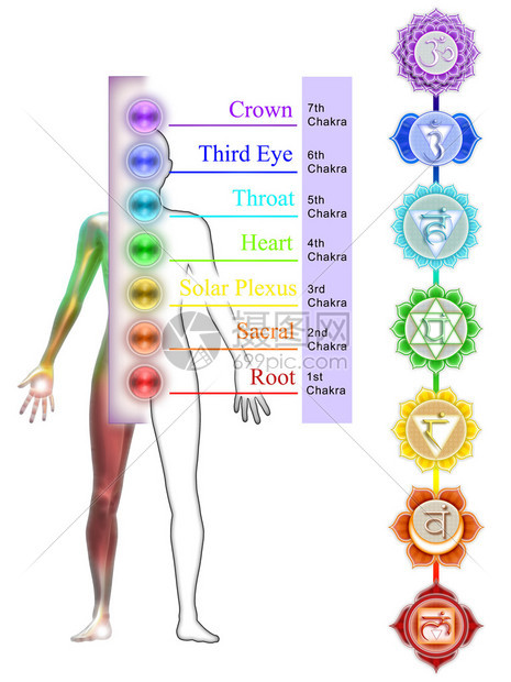 七个主要脉轮的插图图片