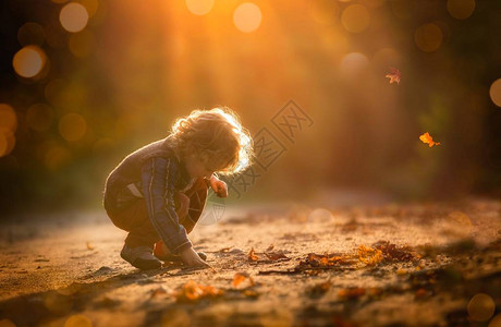 小男孩在秋光下户外玩耍有卷图片