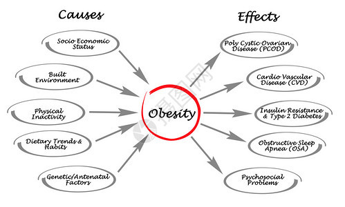 肥胖原因和影响图片