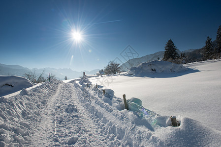 在阳光明媚的冬日在雪地风景图片