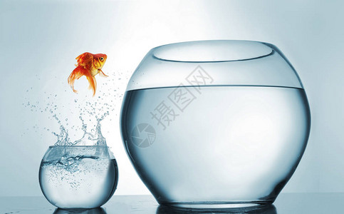 跳跃到最高层金鱼跳进更大的碗中渴望和成就概念这是一个3d化图片