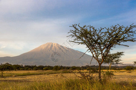 非洲坦桑尼亚北部阿鲁沙Meru山的美图片
