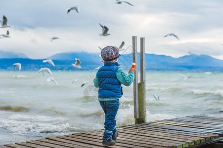 可爱的蹒跚学步的男孩在寒冷的天气里喂鸟图片