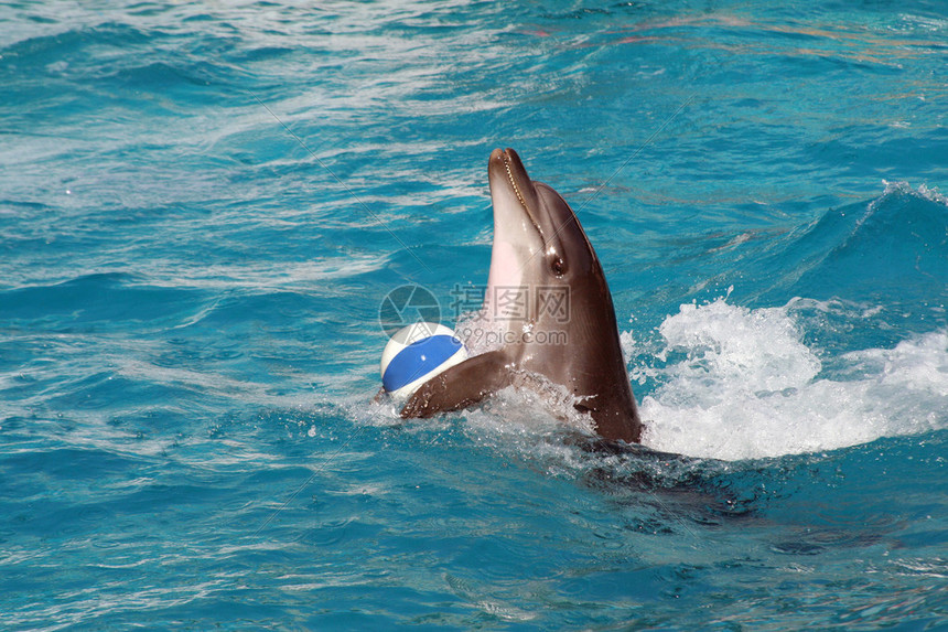 NBA与CBA精彩对决尽在掌握