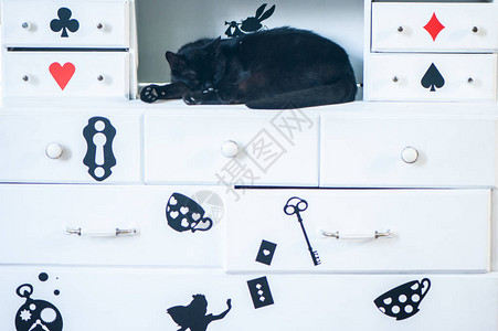 美妙的黑猫睡眠爱丽丝在奇图片