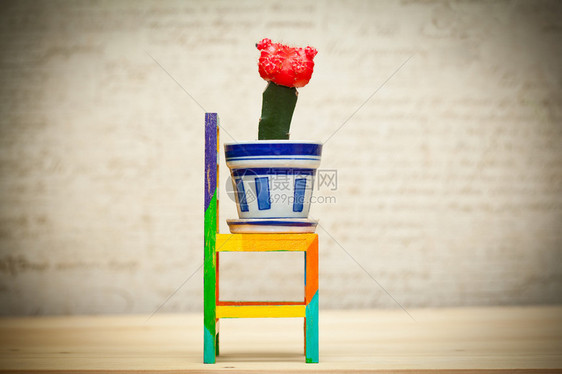 玩具木椅和花盆里的仙人掌图片