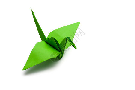白皮书背景上的绿色折纸鹤背景图片