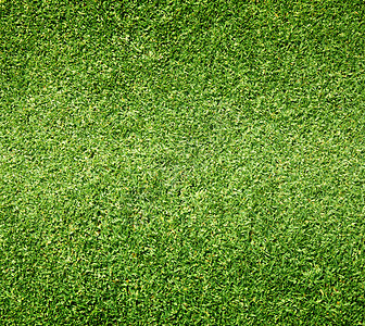 草绿色背景纹理绿图片