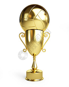 排球奖杯图片
