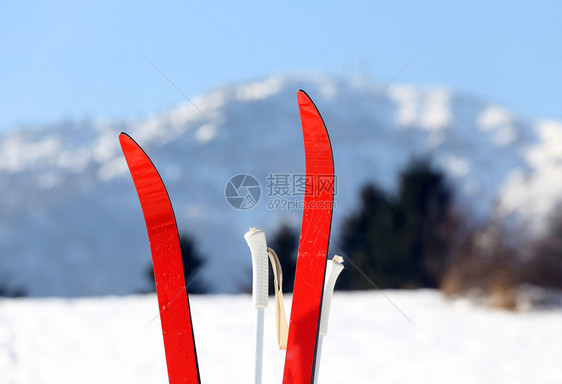 冬季越野滑雪图片