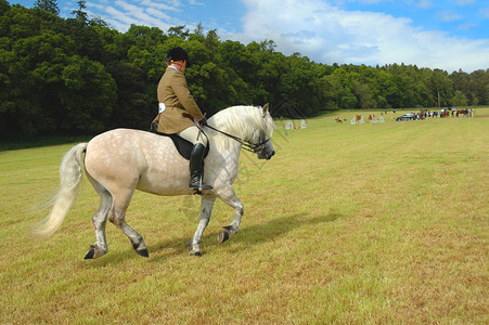 马与骑师在公园的盛装舞步测试中图片