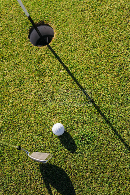 高尔夫俱乐部在绿色草地上将球击入洞中图片