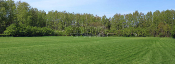 下师俱乐部新剪裁的春季橄榄球草坪全景图片