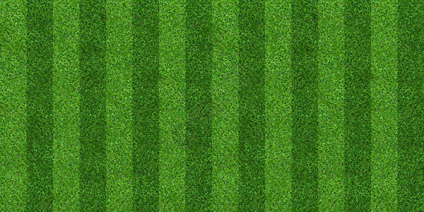 足球和橄榄球运动的绿草场背景绿色草坪图案和纹理背图片