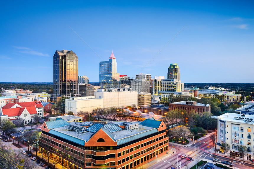 Raleigh 502911350 