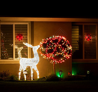 圣诞街头装饰品驯鹿和带灯的树图片