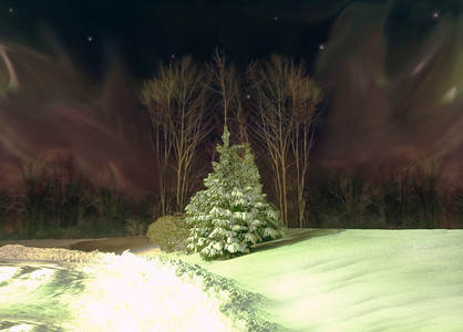 树雪北极光北极光的夜景图片